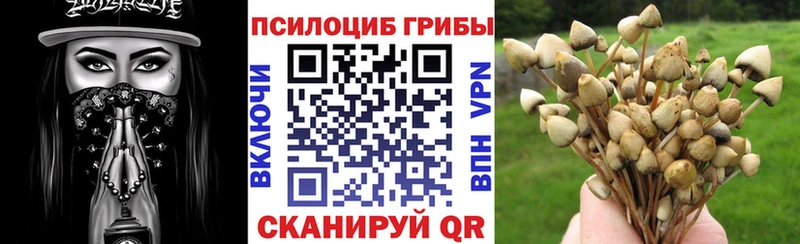 Галлюциногенные грибы мицелий Набережные Челны