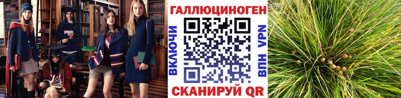 Купить закладки  Набережные Челны  Галлюциногенные грибы мухоморы 